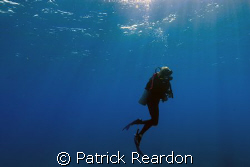Sun's rays safety stop.  Grand Cayman.  Nikon 12-24/L&M h... by Patrick Reardon 